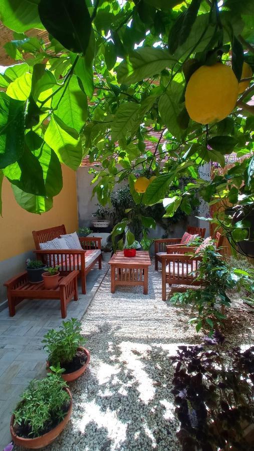 Green House Avola Ngoại thất bức ảnh